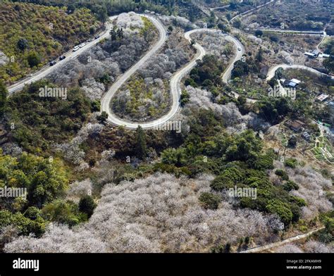 從化有哪些路——路徑與風景