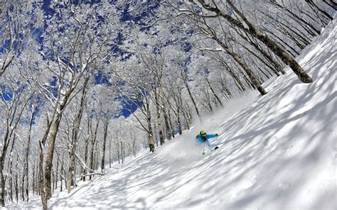 日本滑雪飛哪裏_日本滑雪文化與地景之比較