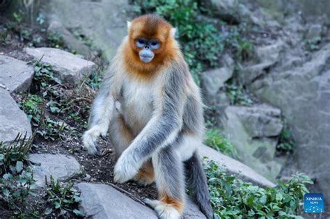 題目：玉合公園怎麼樣 玉合公園裡的樹木是否會影響遊客的視覺享受？